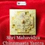 Panchdhatu Shree Mahavidhya Chitramasta Yantra