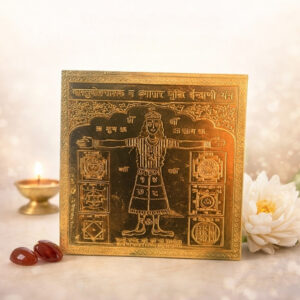 Vastudosh Nashak Vyapar Vridhi Indrani Yantra