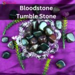 Bloodstone Tumble Stone (5)