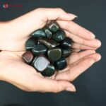 Bloodstone Tumble Stone (5)