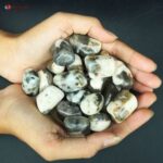 Cats Eye Moonstone Tumble Stone750 (4)