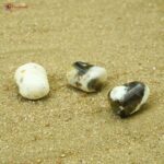 Cats Eye Moonstone Tumble Stone750 (4)