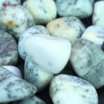 Dendritic Opal Tumble Stone