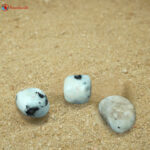 Rainbow Moonstone Tumble Stone (9)