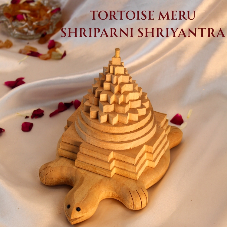 Tortoise Meru Shriparni Shriyantra