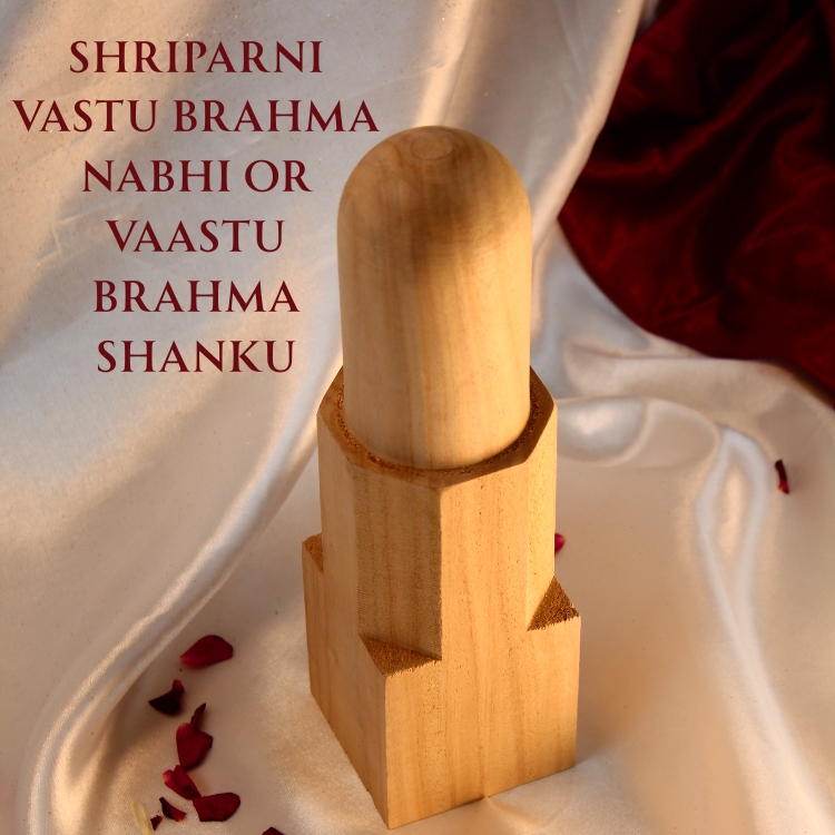 Shriparni Vastu Brahma Nabhi or Vaastu Brahma Shanku