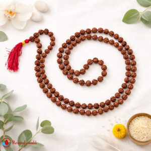 Rudraksha Mala | 5 Mukhi Rudraksha Mala