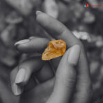 Citrine Stone Polished Chips 750 (3)