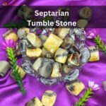 Septarian Tumble Stone (10)