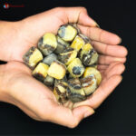 Septarian Tumble Stone (10)