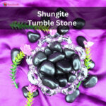 Shungite Tumble Stone (10)