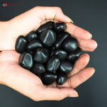 Shungite Tumble Stone (10)
