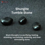 Shungite Tumble Stone (10)