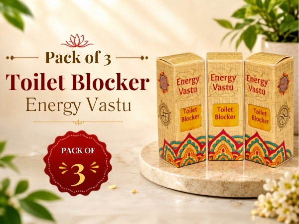 Toilet Blocker Pack of 3