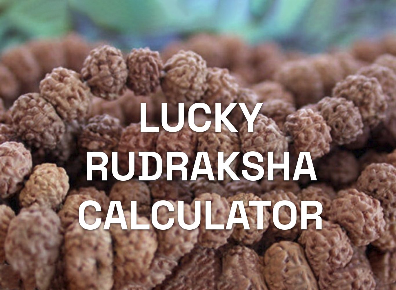 Lucky Rudraksha Calculator
