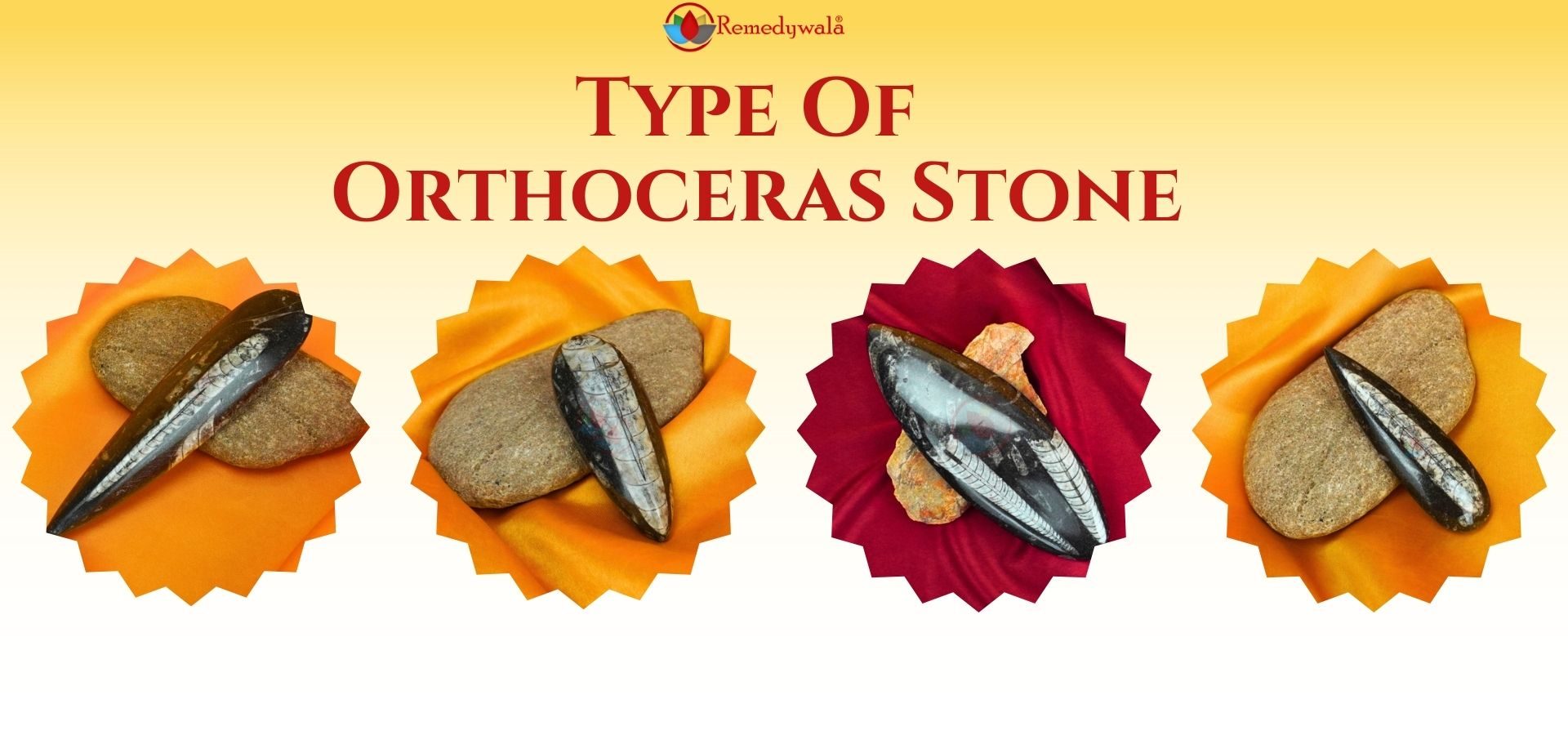 Natural Orthoceras (3)