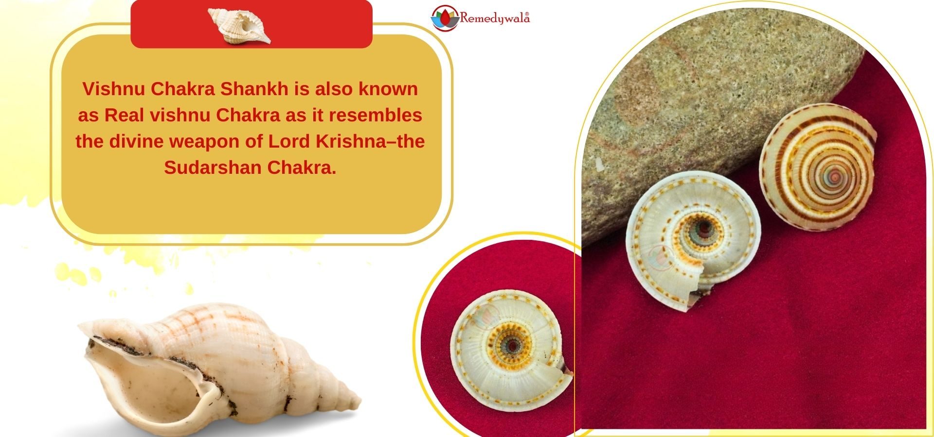 Sri Vishnu Sudarshana Chakra Shankh (1)