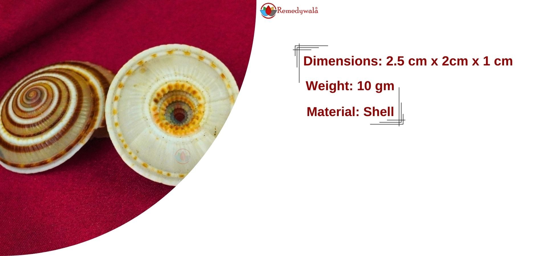 Sri Vishnu Sudarshana Chakra Shankh (2)