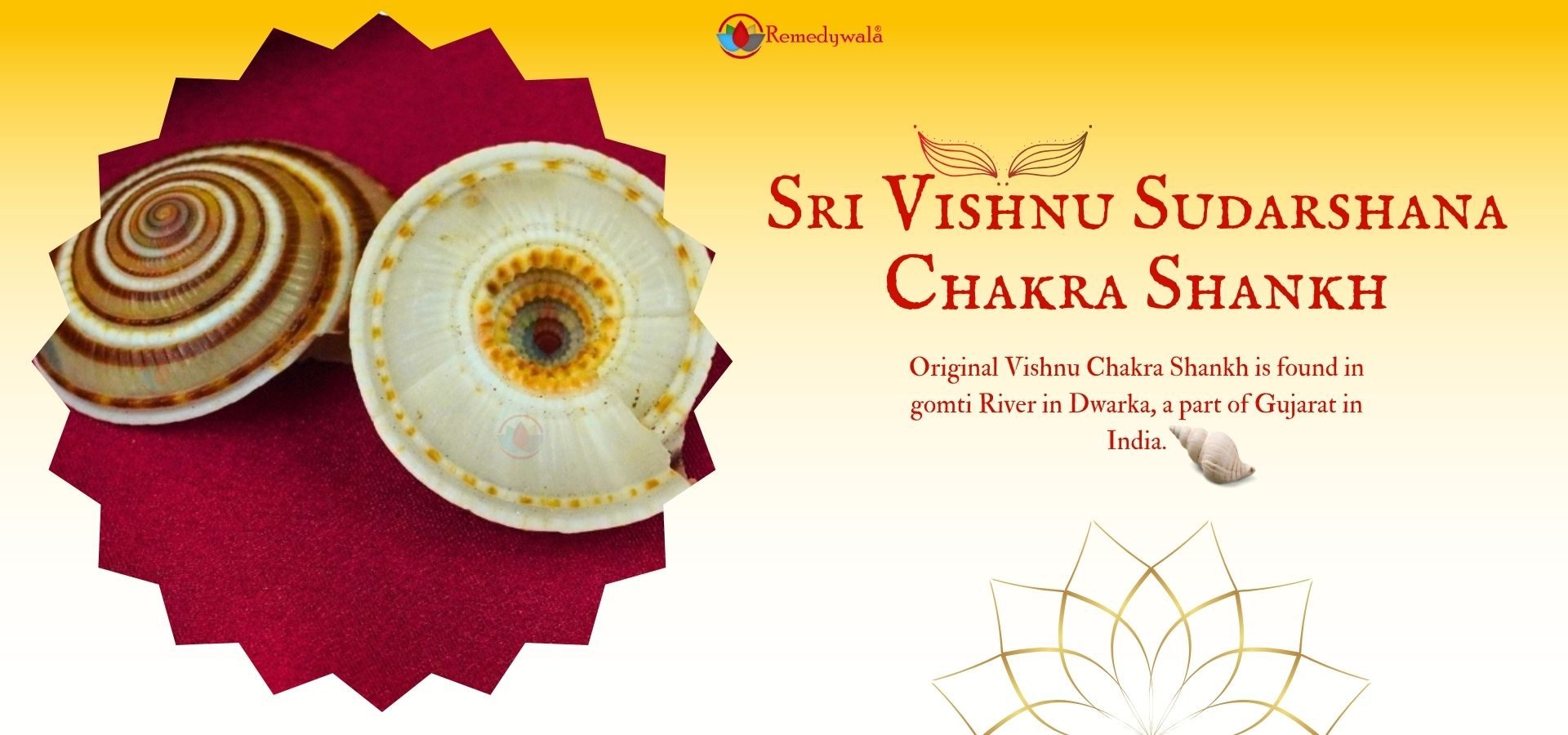 Sri Vishnu Sudarshana Chakra Shankh (4)